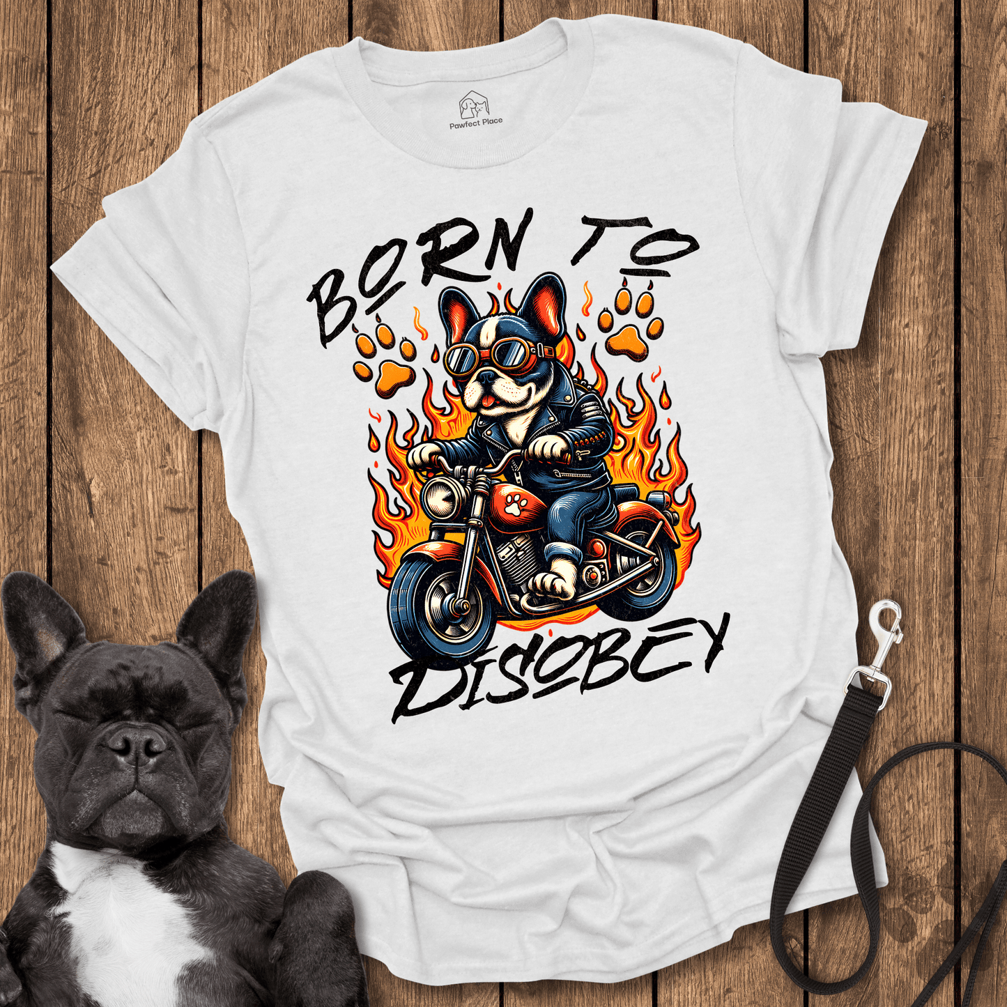 Born To Disobey - Dog Shirt - PawfectPlace