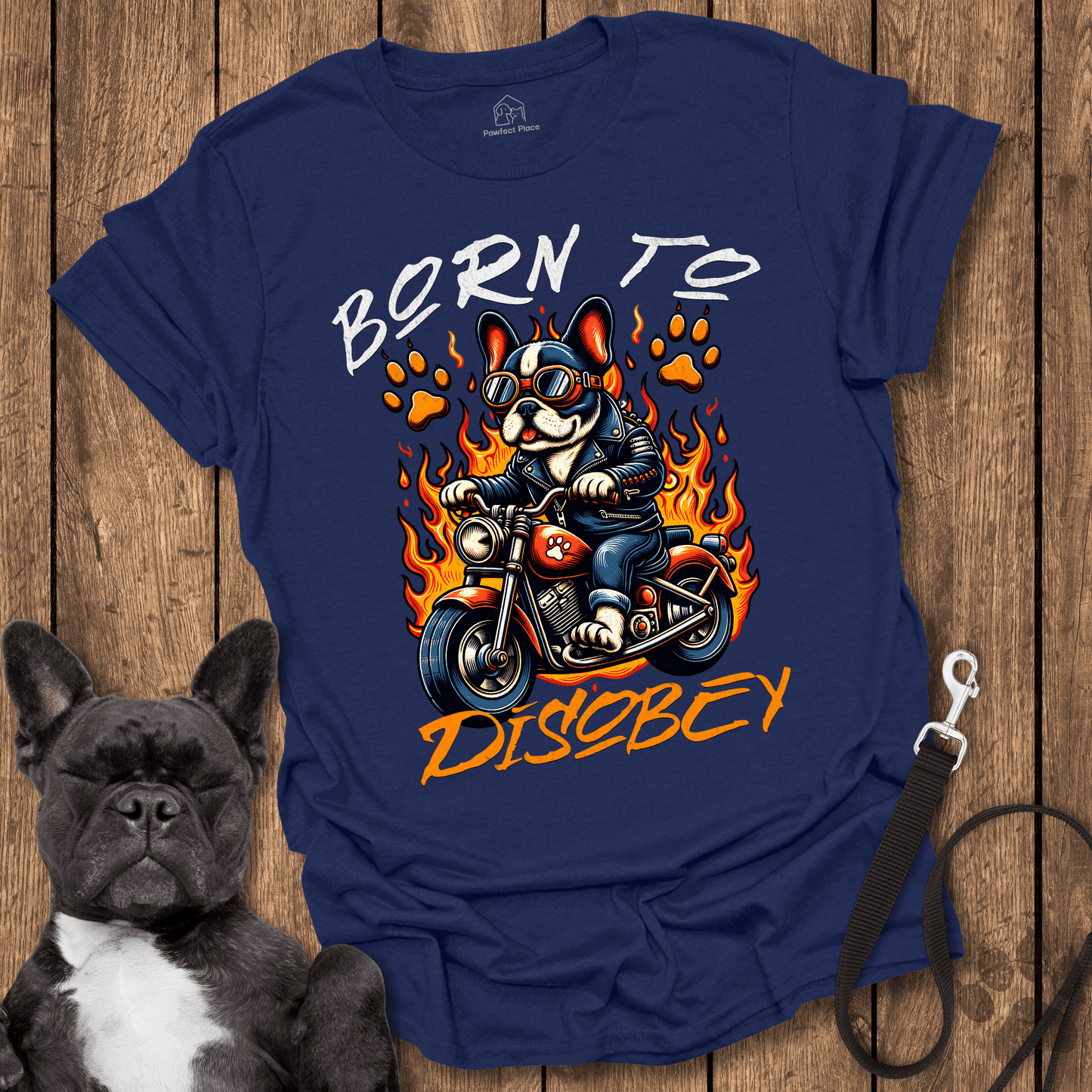 Born To Disobey - Dog Shirt - PawfectPlace