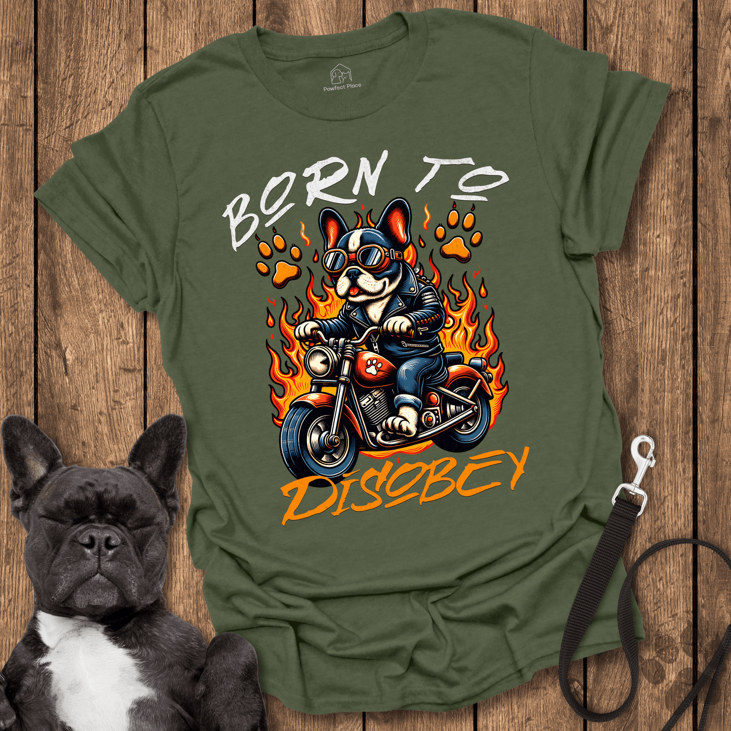 Born To Disobey - Dog Shirt - PawfectPlace