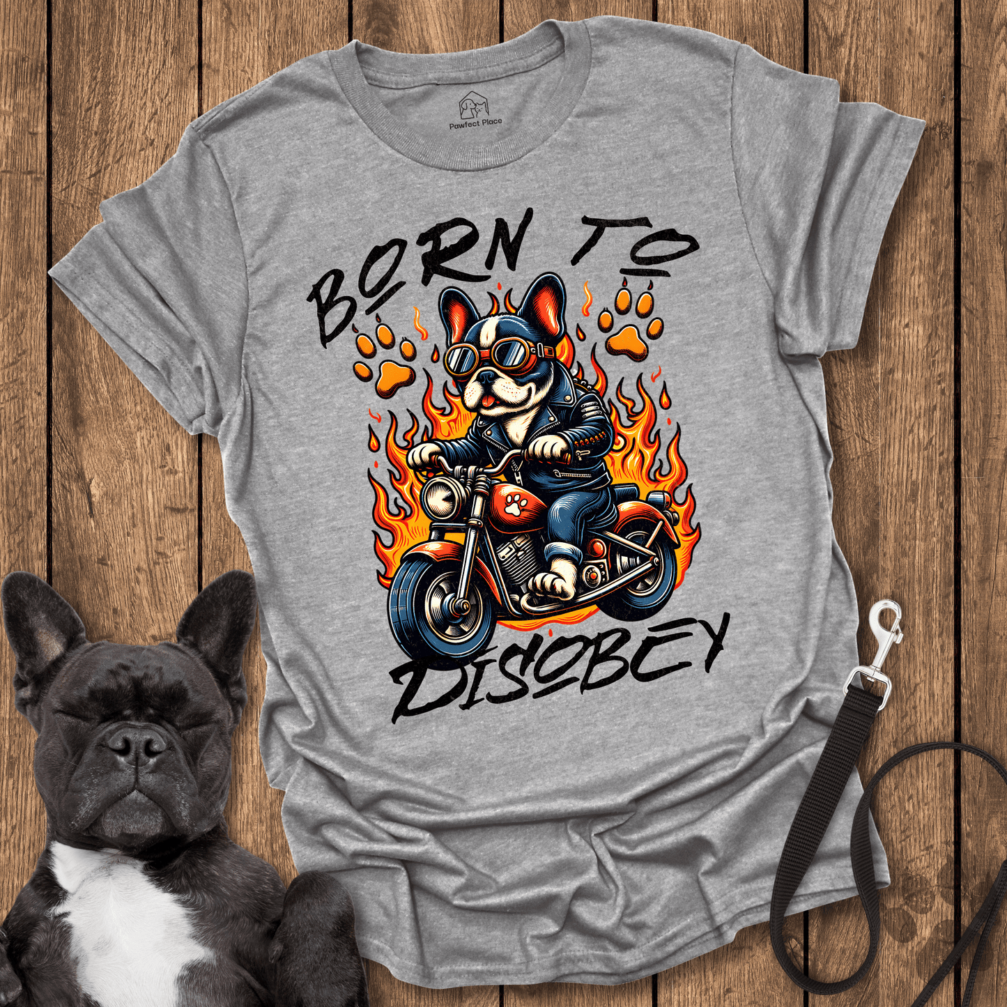 Born To Disobey - Dog Shirt - PawfectPlace