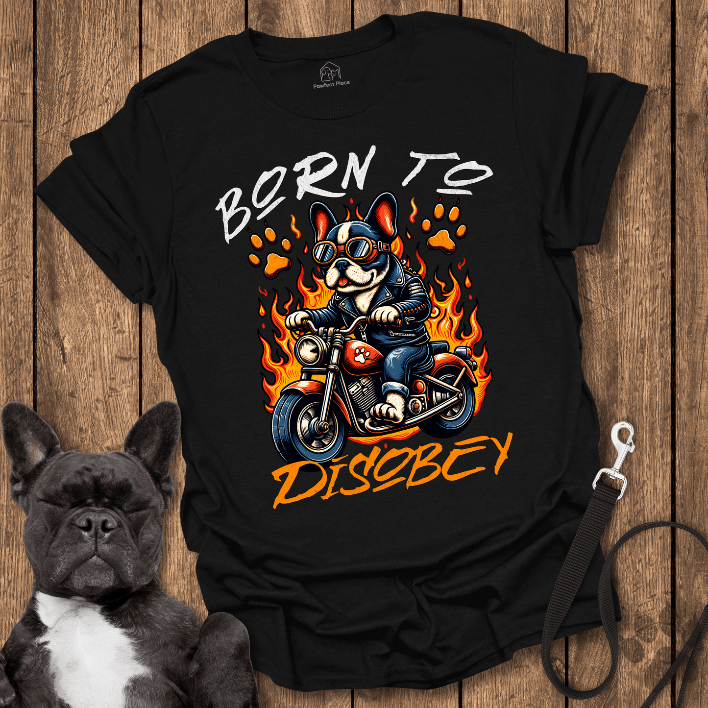 Born To Disobey - Dog Shirt - PawfectPlace