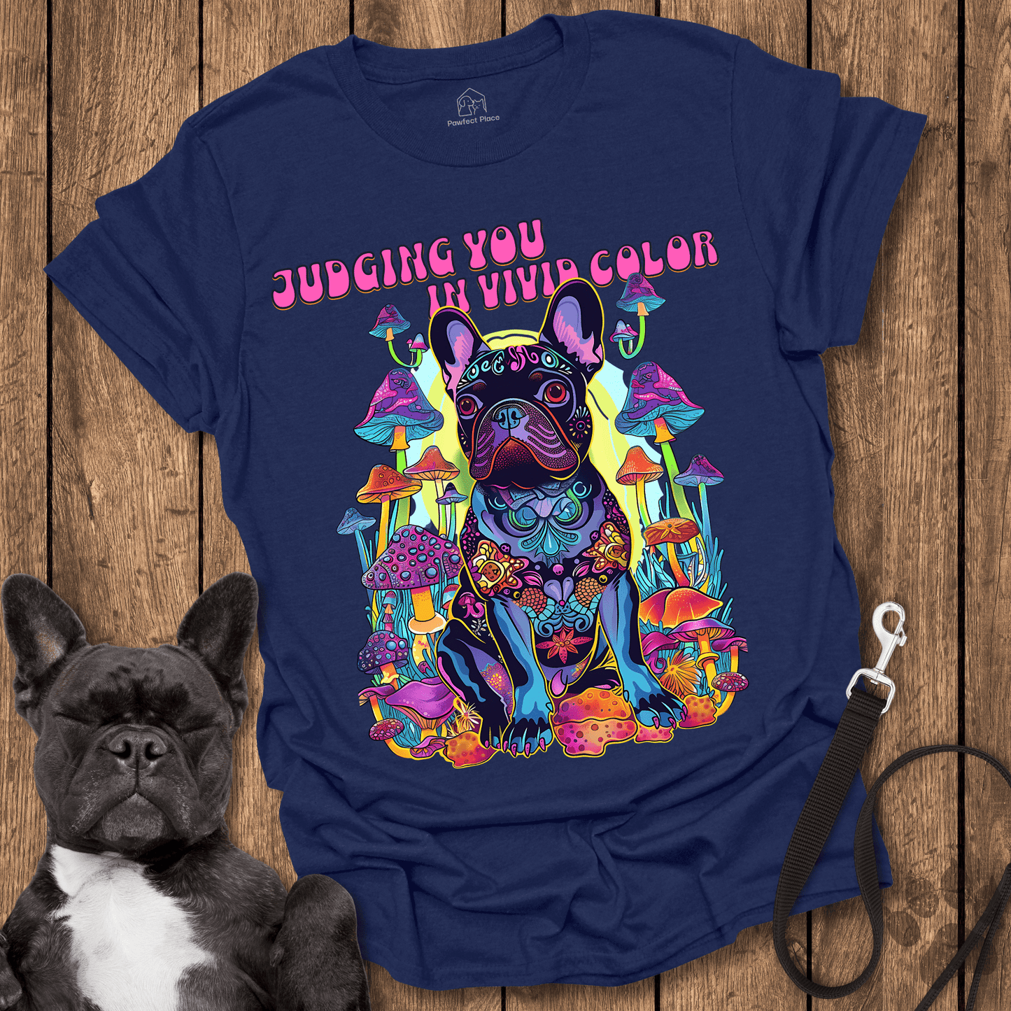 Judging You In Vivid Color - Dog Shirt - PawfectPlace