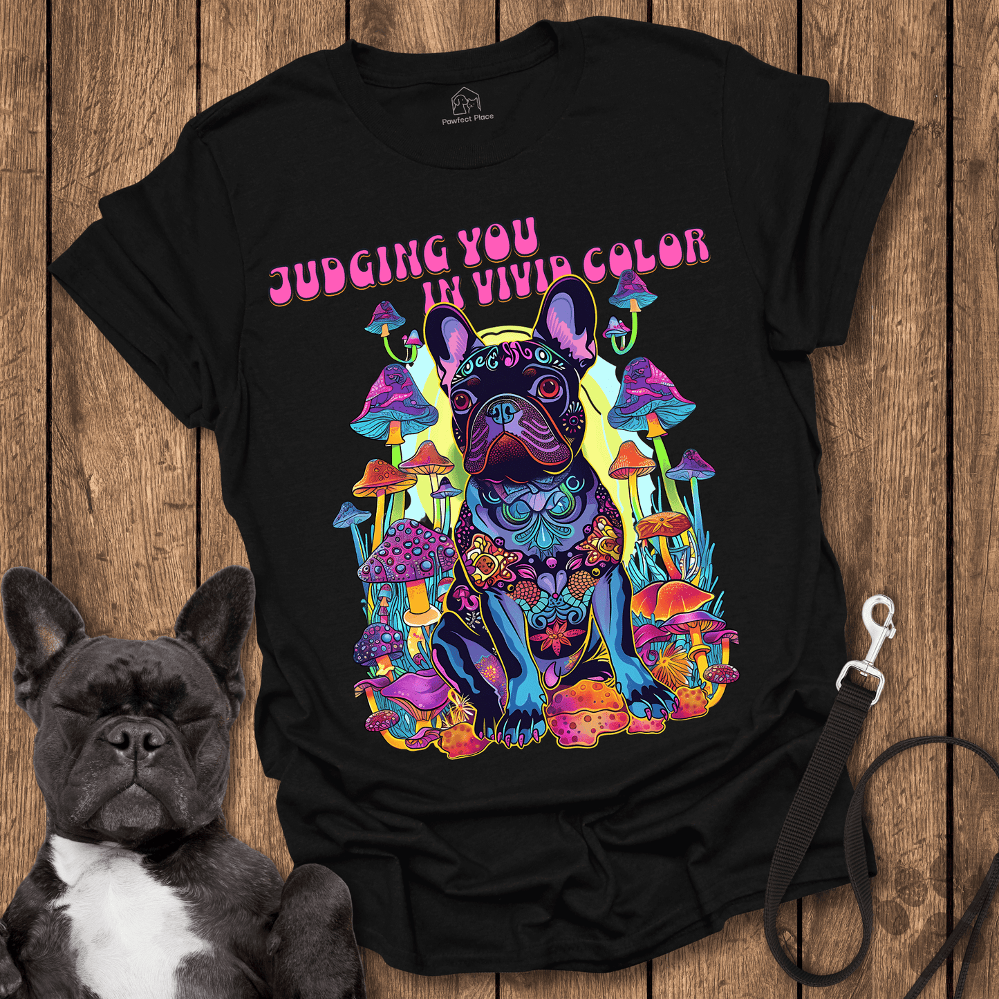Judging You In Vivid Color - Dog Shirt - PawfectPlace