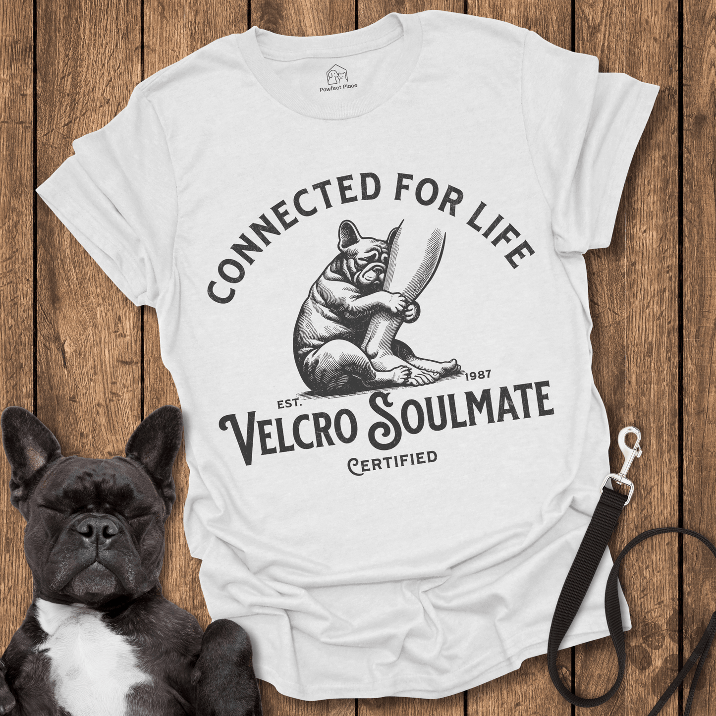Frenchie, The Velcro Soulmate - Dog Shirt - PawfectPlace