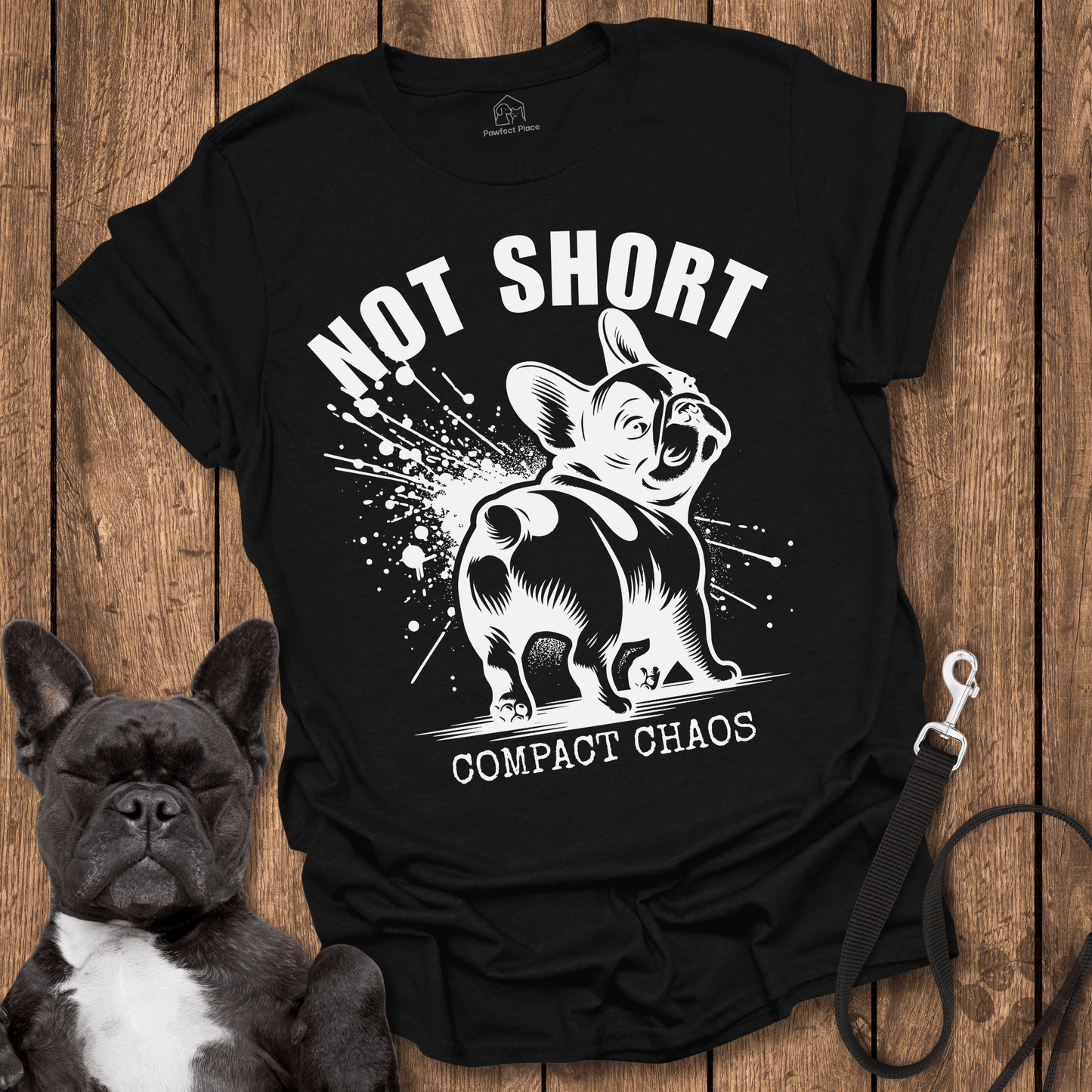 Not Short, Compact Chaos - Dog Shirt - PawfectPlace